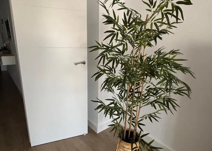 Trimar - Centrico Con Garaje